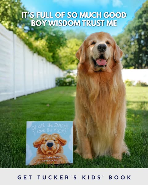 Tucker Budzyn ad