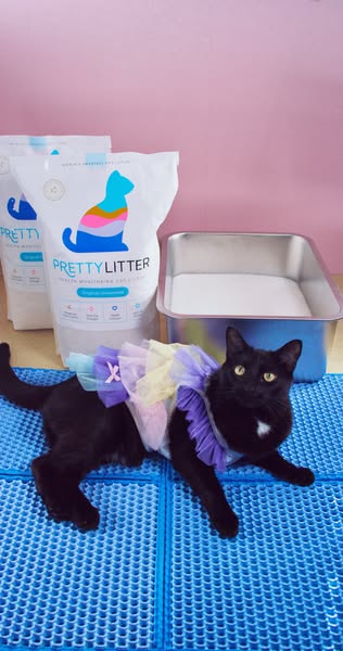 Cleo the Void ad