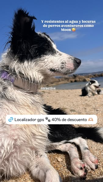 Marta the Dog Mom ad
