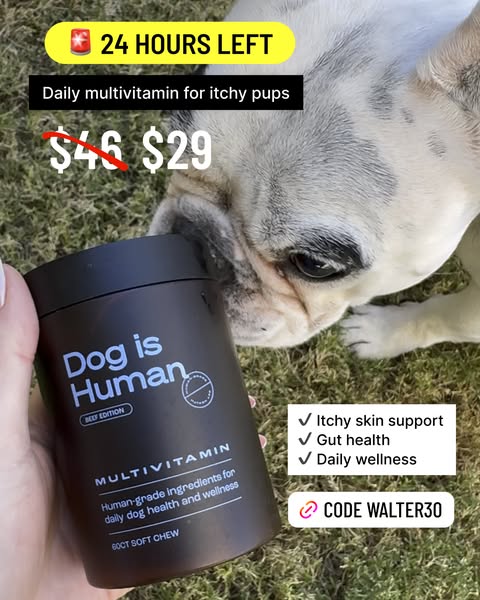Walter Geoffrey ad