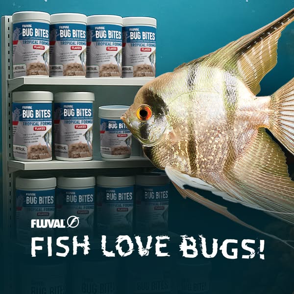 This image ad for Fluval Bug Bites Tropical Formula Flakes features multiple product containers arranged on a shelf next