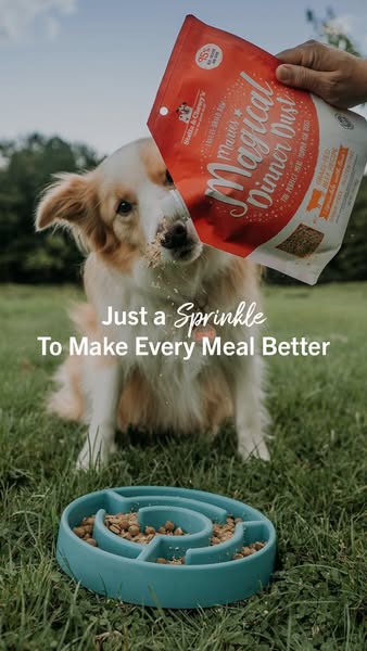 This ad is for Stella & Chewy's 'Marie's Magical Dinner Dust' dog food topper. The ad features a dog