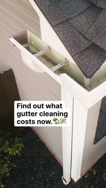 This ad uses a close-up shot of a dirty gutter to grab the viewer's attention. The text overlay asks the user to fin