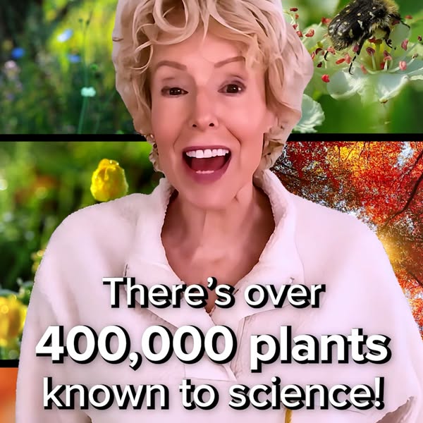 jenniferthehappymaverick ad