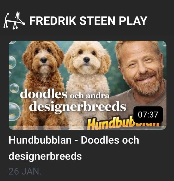 Fredrik Steen Officiell sida ad