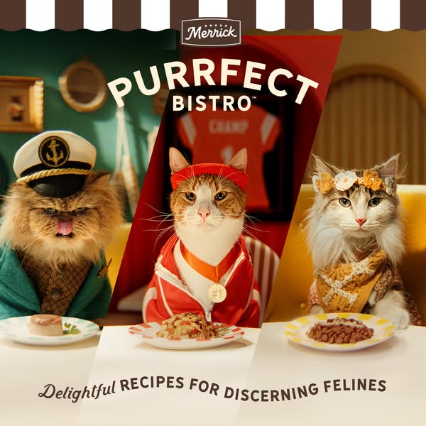 This image ad for Merrick Purrfect Bistro cat food features three cats dressed in human clothes seated at a table with p