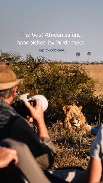 The ad showcases a high-end African safari experience offered by Wilderness. It features a wildlife photographer capturi