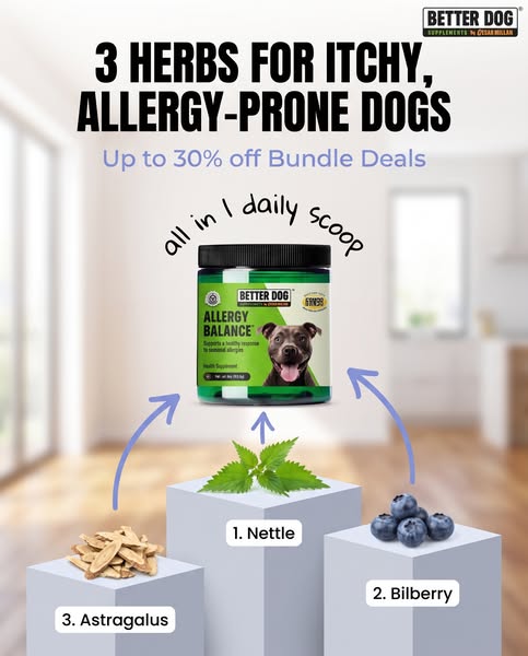 Cesar Millan ad