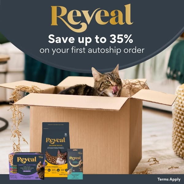 An image ad for Reveal cat food featuring a cat inside of a cardboard box with multiple product options displayed.