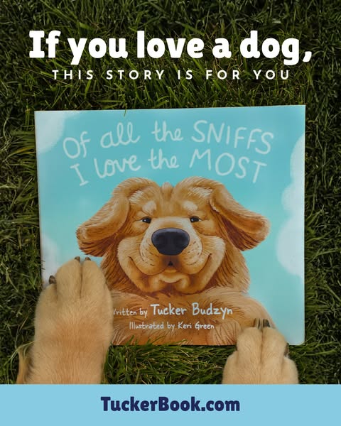 Tucker Budzyn ad