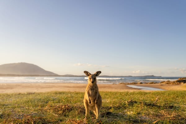 Australia ad