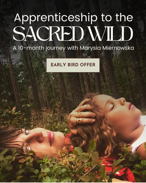 School of the Sacred Wild : Regenerative Healing for Earth & People ad