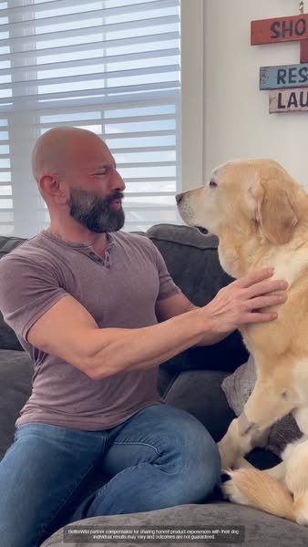 Magnus The Therapy Dog ad