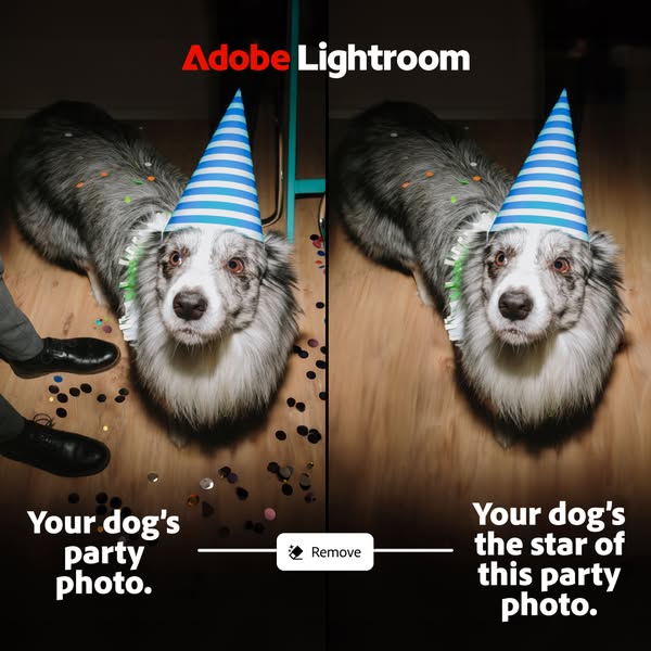 The ad is split vertically, displaying a low-lit 'before' image of a dog wearing a party hat surrounded by confe