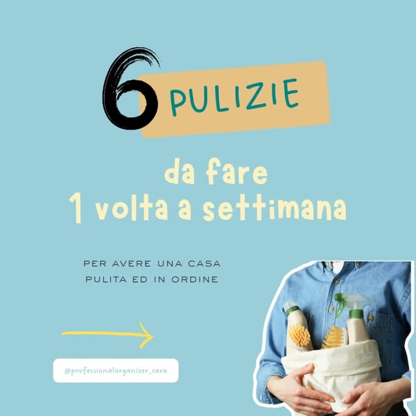 professionalorganizer_sara ad
