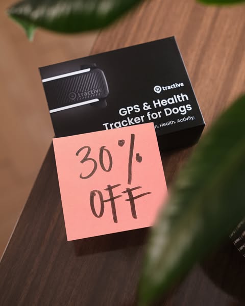 This ad is advertising Tractive GPS & Health Tracker for Dogs. The ad shows the product's box along with a post-