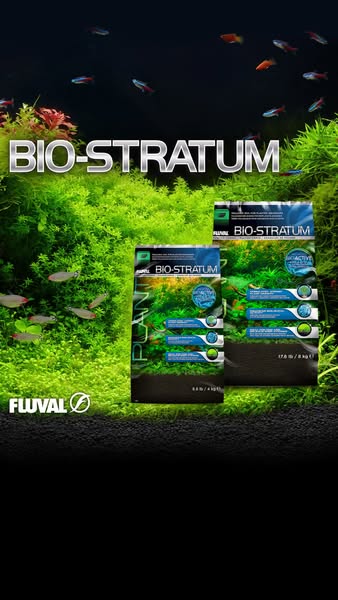 This ad promotes Fluval's Bio-Stratum, a substrate for planted aquariums, highlighting its benefits for plant growth