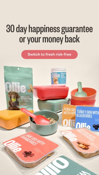 This ad promotes Ollie, a fresh dog food subscription service. The ad features a variety of Ollie's fresh food produ