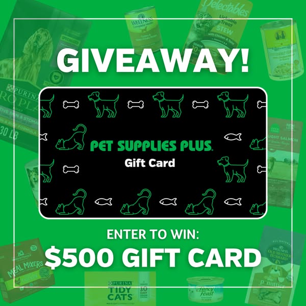 This image ad promotes a giveaway from Pet Supplies Plus, offering a $500 gift card to one lucky winner. The background 