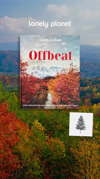 This image ad for Lonely Planet's 'Offbeat' travel guide uses a background image of colorful fall foliage, c