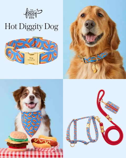 This ad features four quadrants displaying dogs' products, including a dog collar, leash, harness, and bandana, all 