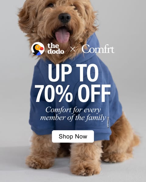 The Dodo ad