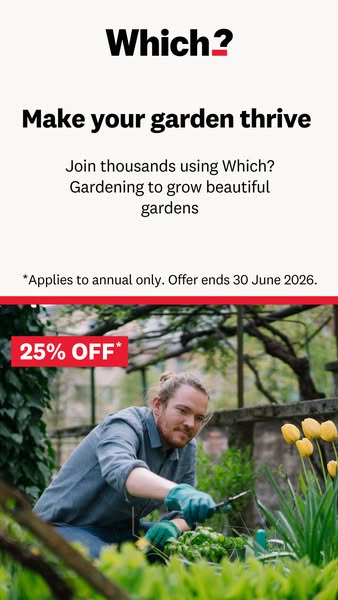 Which? ad