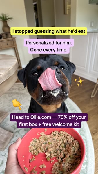 Prince with Paws ad