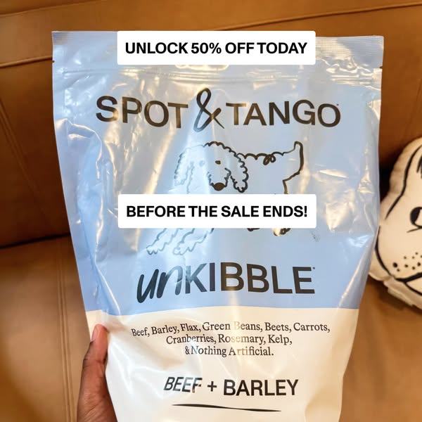 Spot and Tango ad