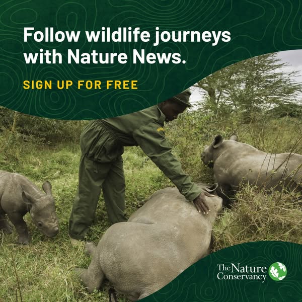 This ad is for The Nature Conservancy, encouraging viewers to follow wildlife journeys with Nature News by signing up fo