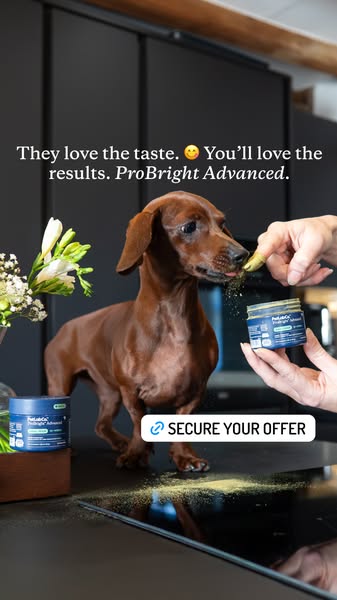 PetLab Co. ad