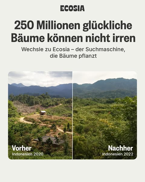 Ecosia ad