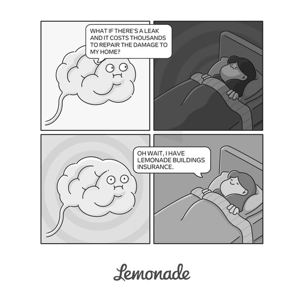 This ad uses a comic strip to showcase a pain point (home damage from a leak) and solution (Lemonade buildings insurance