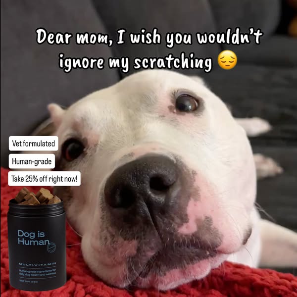 Dog is Human ad