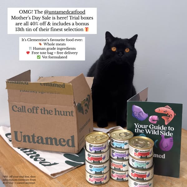 Clementine Meows ad