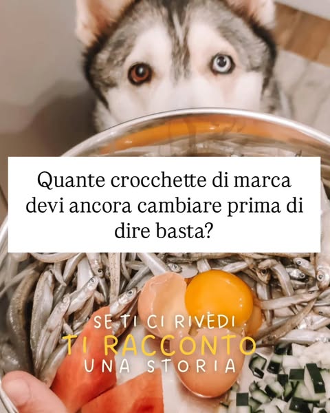 Donnecheviaggianocoilupi ad