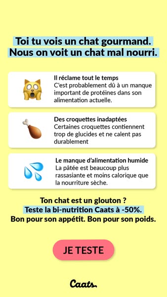 This ad addresses the concern that a cat may be inadequately nourished despite appearing to be a gourmand. It highlights