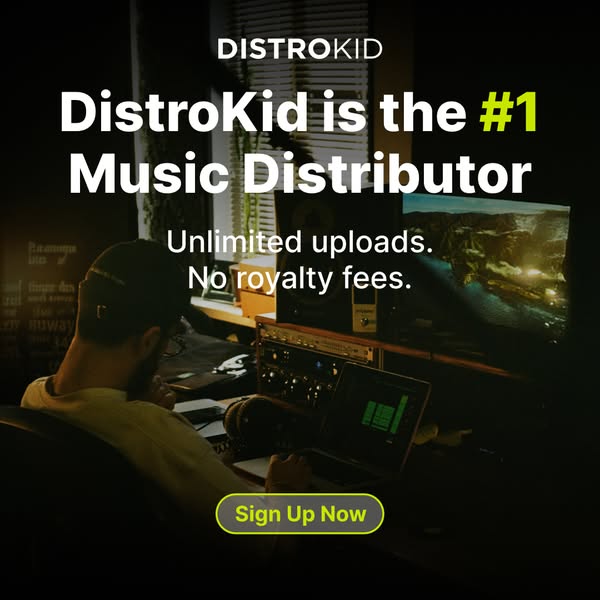 This ad for DistroKid, a music distribution service, emphasizes its position as the #1 distributor. The ad features a mu