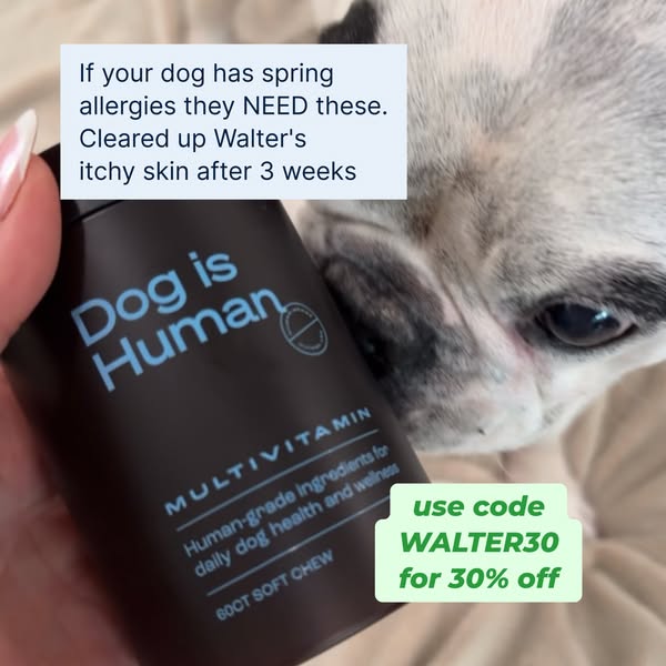 Walter Geoffrey ad