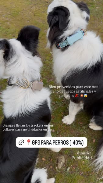 Marta the Dog Mom ad