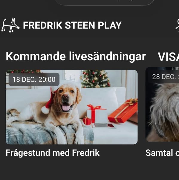 Fredrik Steen Officiell sida ad