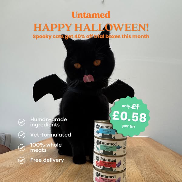 Clementine Meows ad
