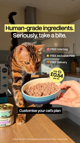 Jade Isaac ad
