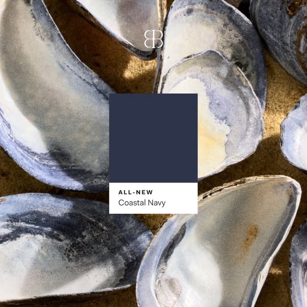 This image ad showcases a new color of a product, presented alongside a square color swatch, using a high-definition ima