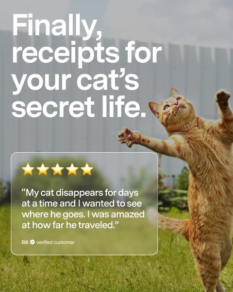 Ad for a cat tracker device that shows a cat outdoors and includes a testimonial from a verified customer.