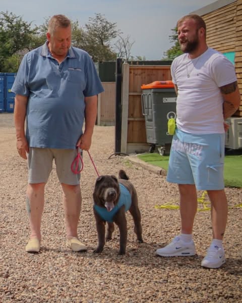 SouthendDogTraining ad