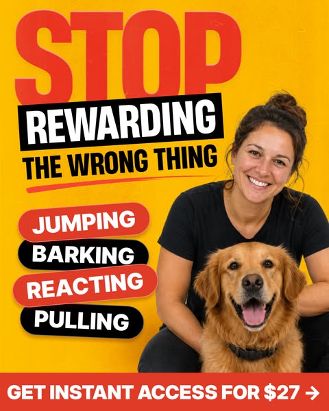 Tom Davis Dog Training ad