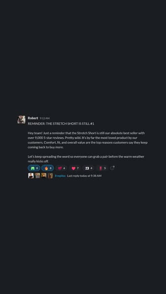 This ad is a screenshot of a company's internal message raving about the popularity and value of their best-selling 