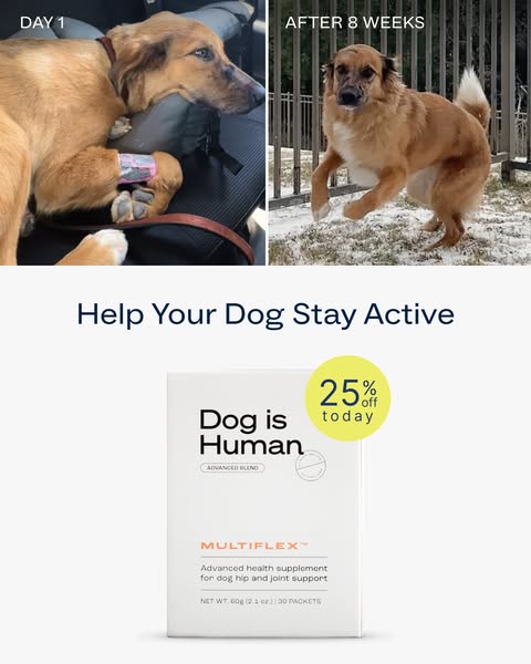 Dog is Human ad