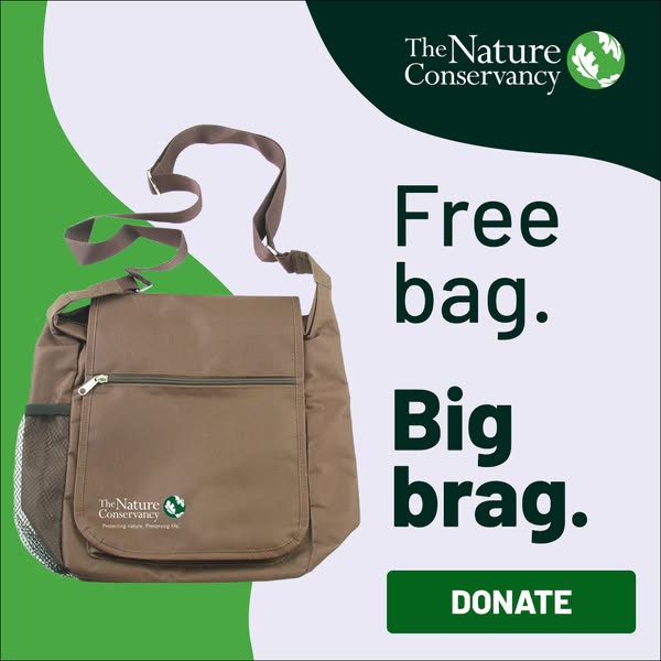 This image ad for The Nature Conservancy promotes a free bag as an incentive to donate to the organization. The ad uses 